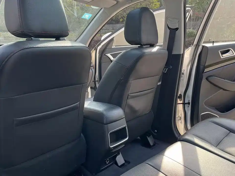 Leopaard Cheetah CS10