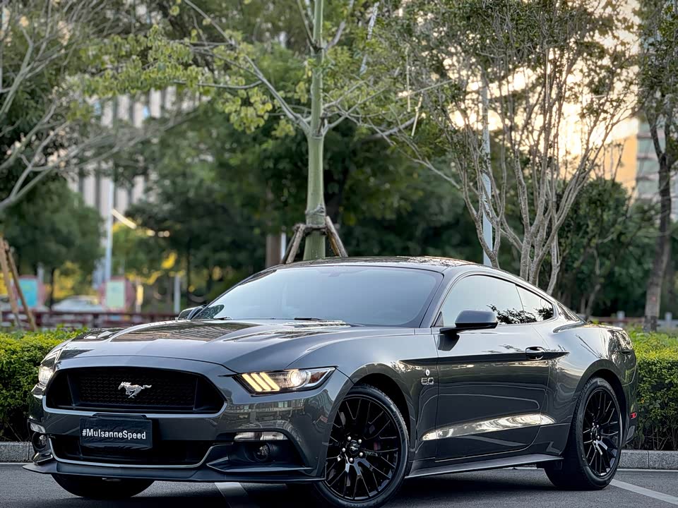 Ford Mustang Ford Mustang