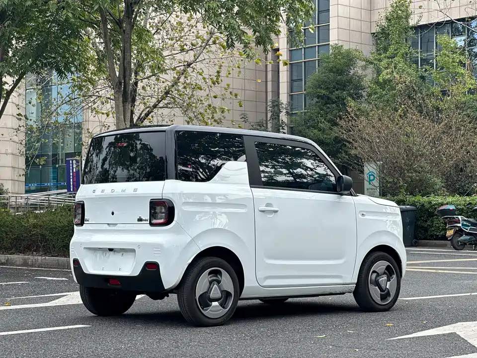 Geely Galaxy panda