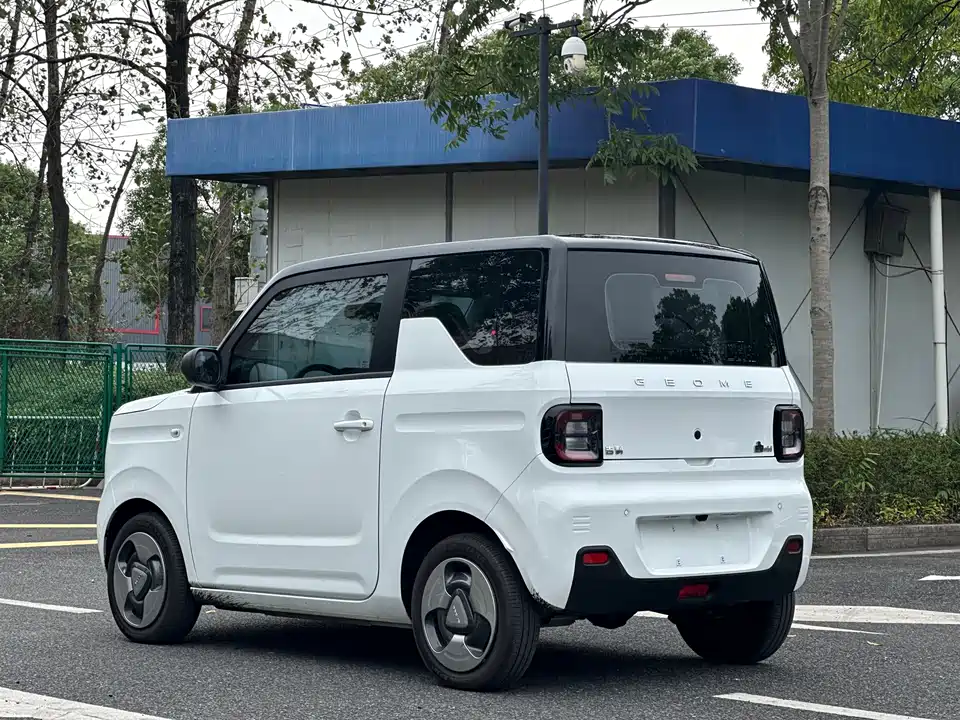 Geely Galaxy panda