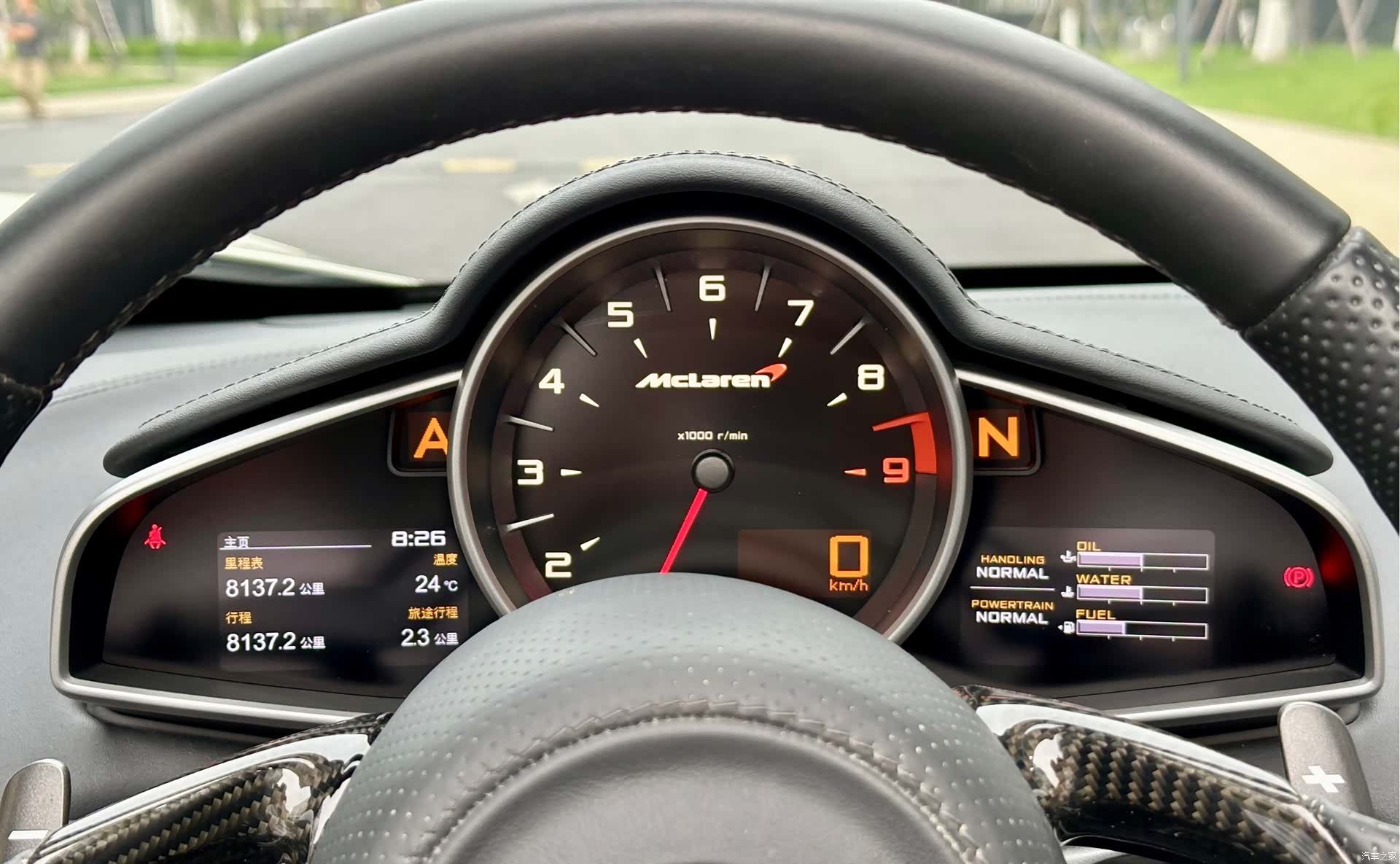 McLaren 625C, 2015 20