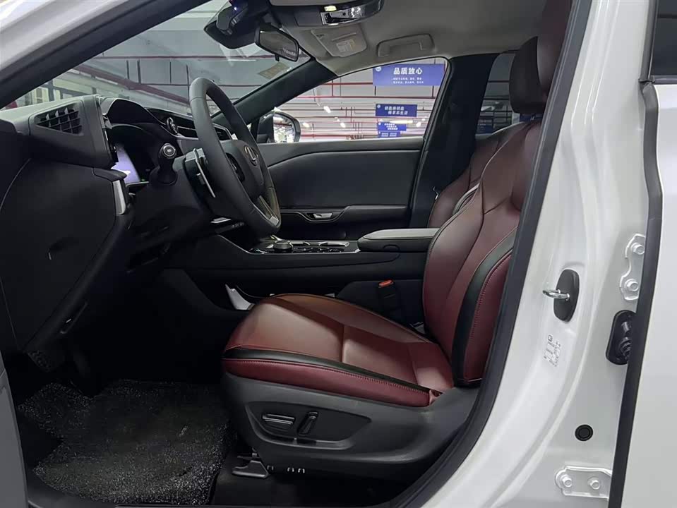 Lexus RZ