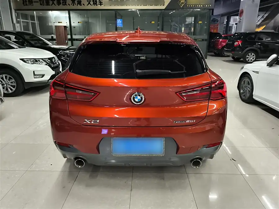 BMW X2