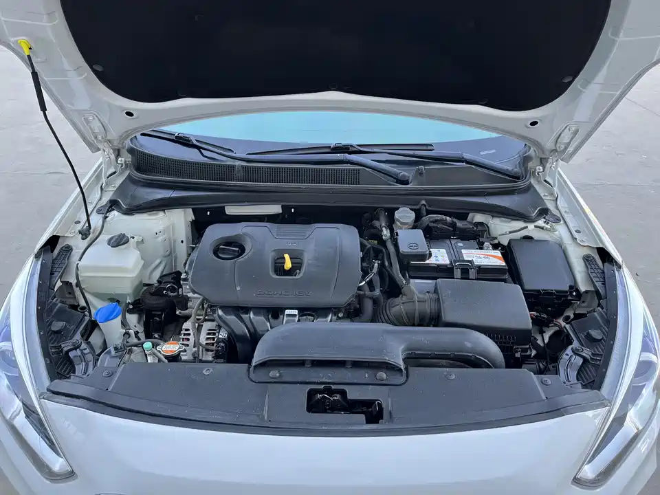 Hyundai Name picture