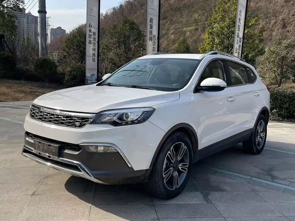 Leopaard Cheetah CS10