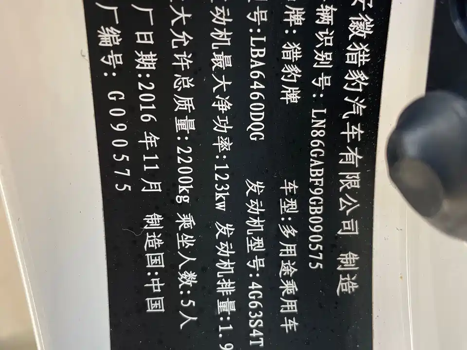 Leopaard Cheetah CS10