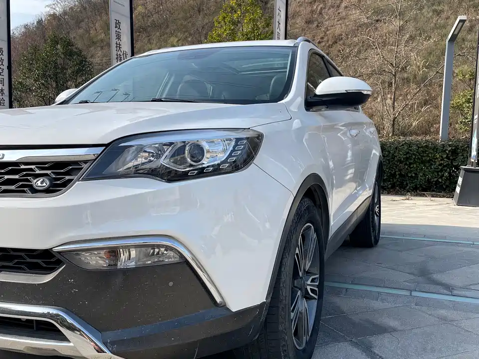 Leopaard Cheetah CS10