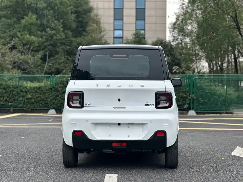 Geely Galaxy panda