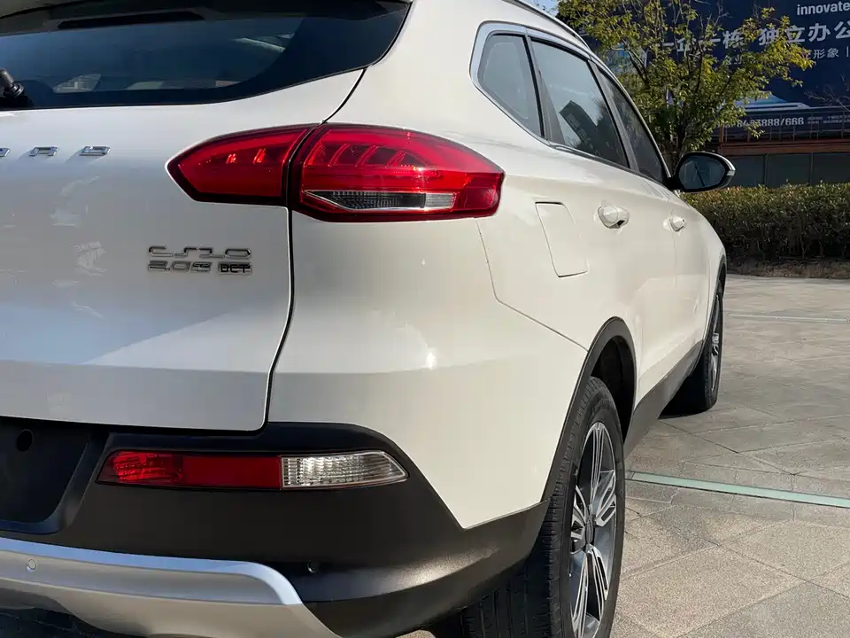 Leopaard Cheetah CS10