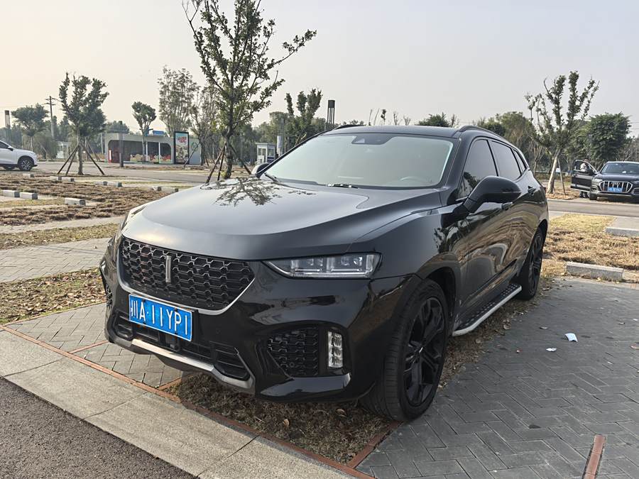 Wei brand VV7