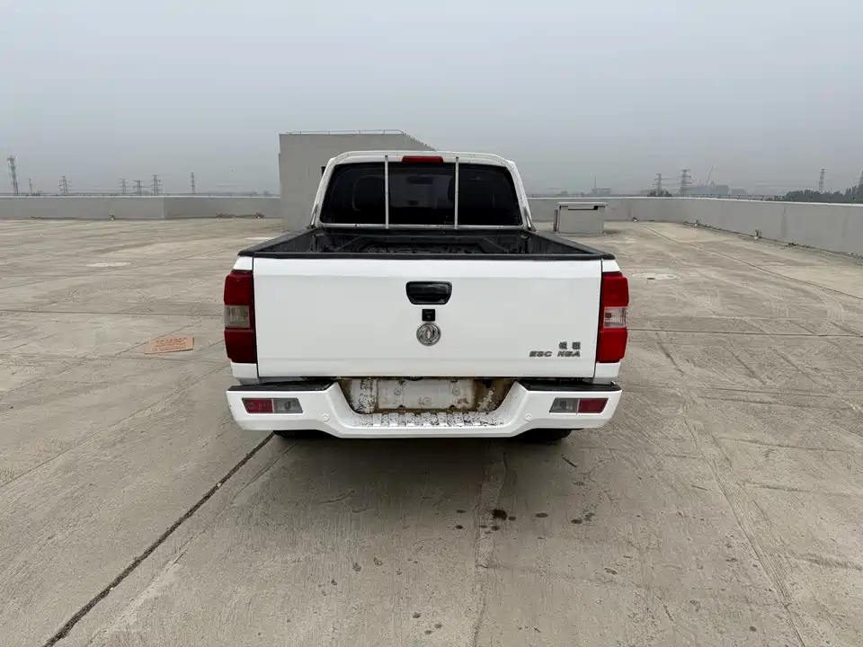 Dongfeng Ruiqi