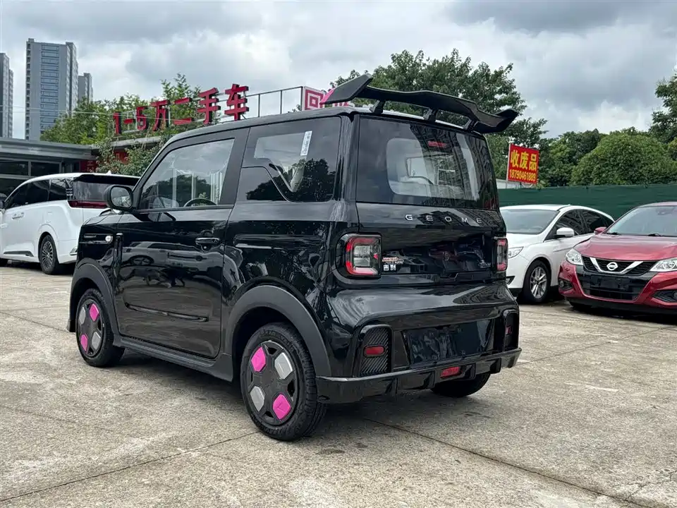 Geely Galaxy panda