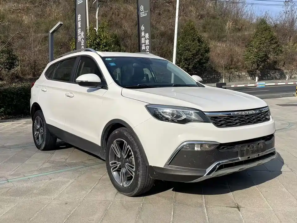 Leopaard Cheetah CS10