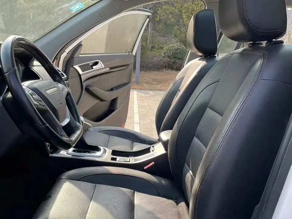 Leopaard Cheetah CS10