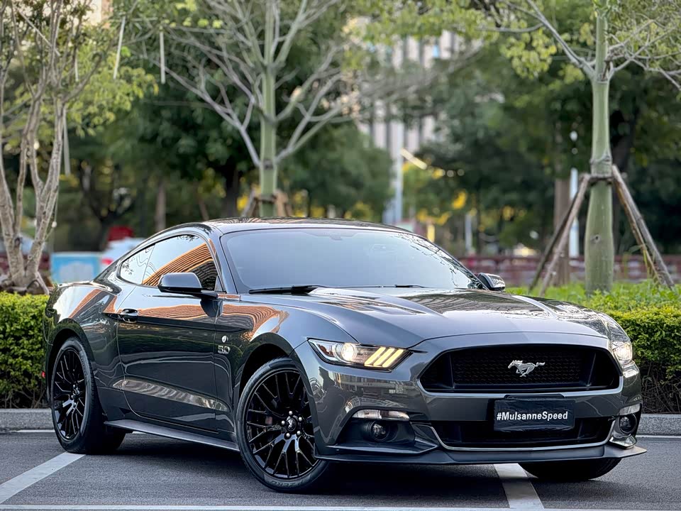 Ford Mustang Ford Mustang