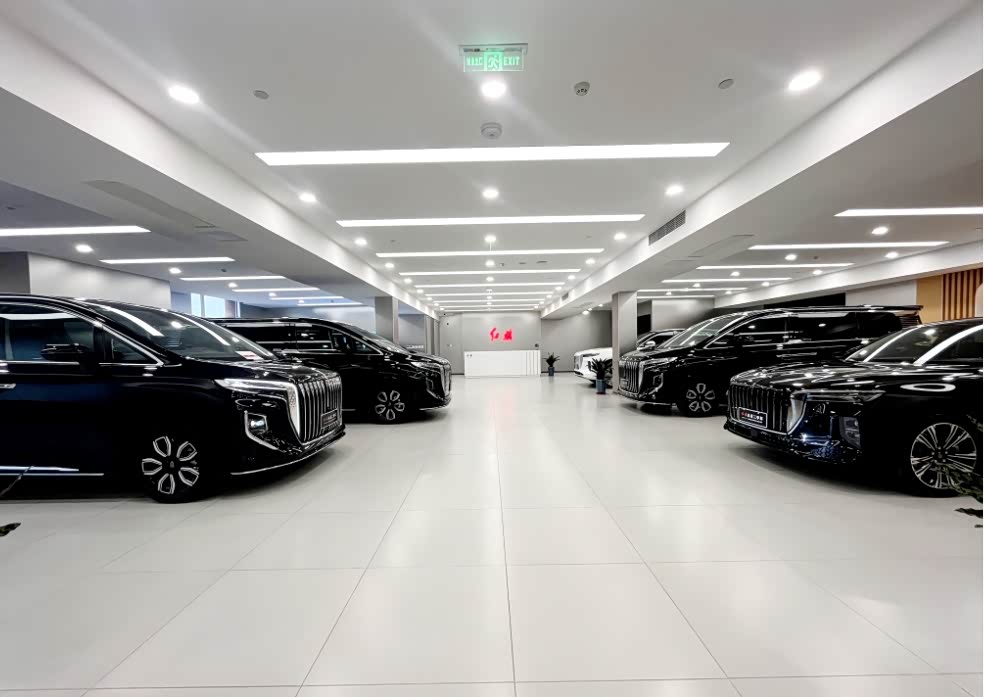 Hongqi Hs5, 2024 года фото 12
