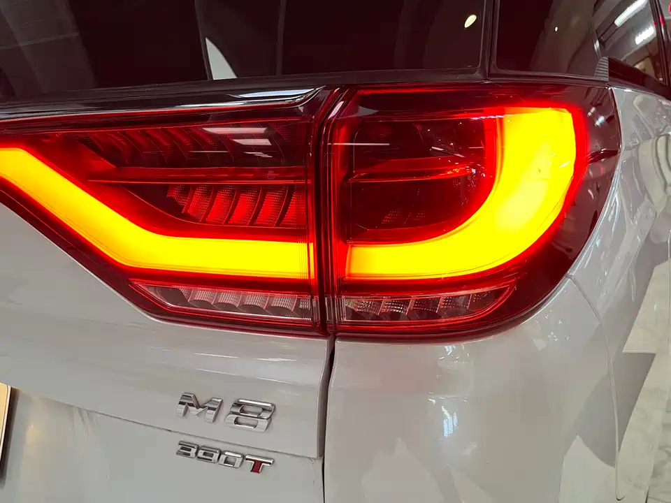 Trumpchi Trumpchi M8