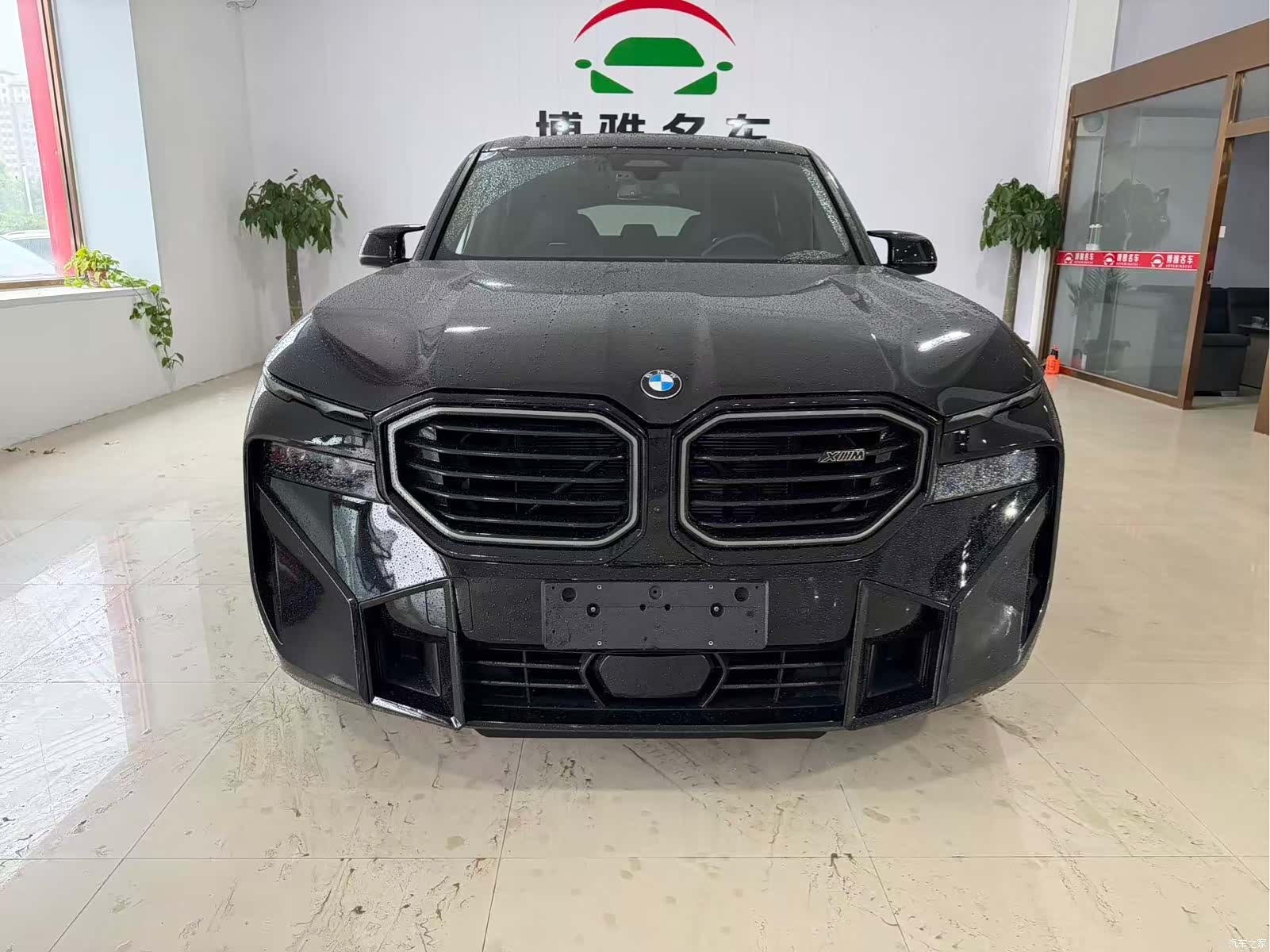 BMW XM