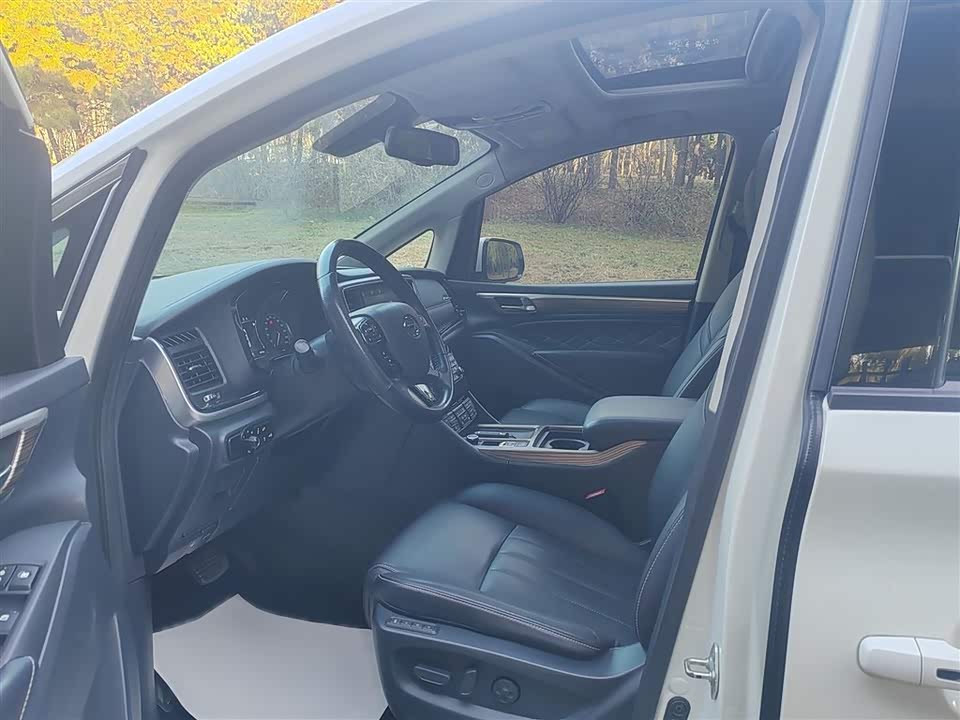 Trumpchi Trumpchi M8