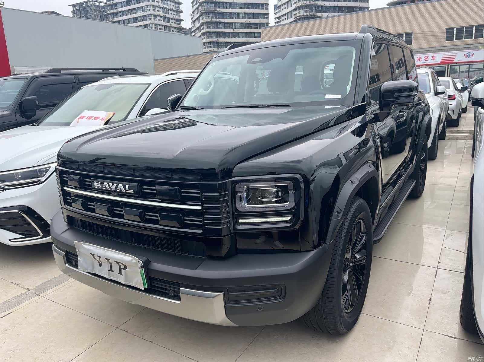 Haval Raptor
