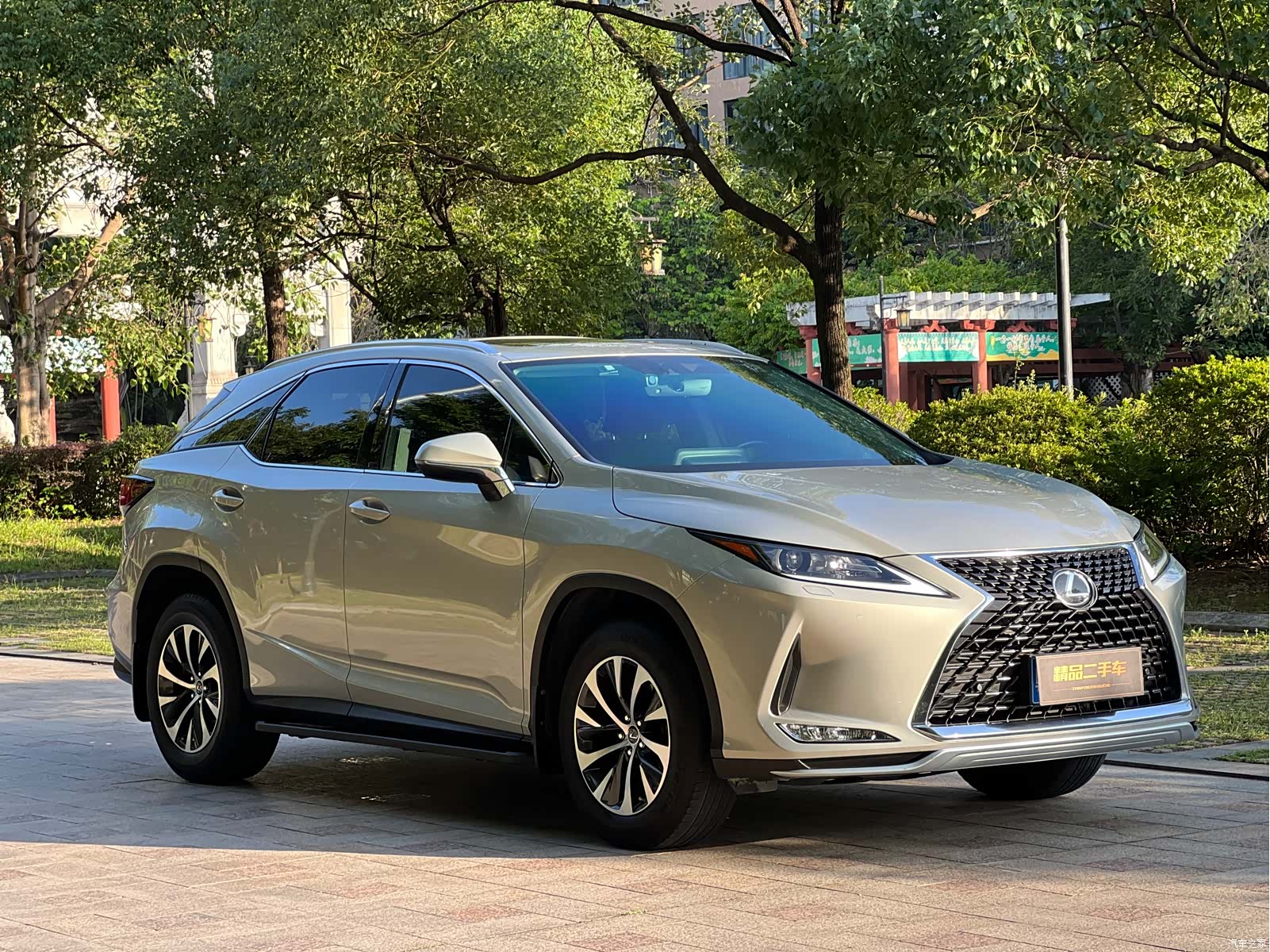 Lexus RX, 2022 3