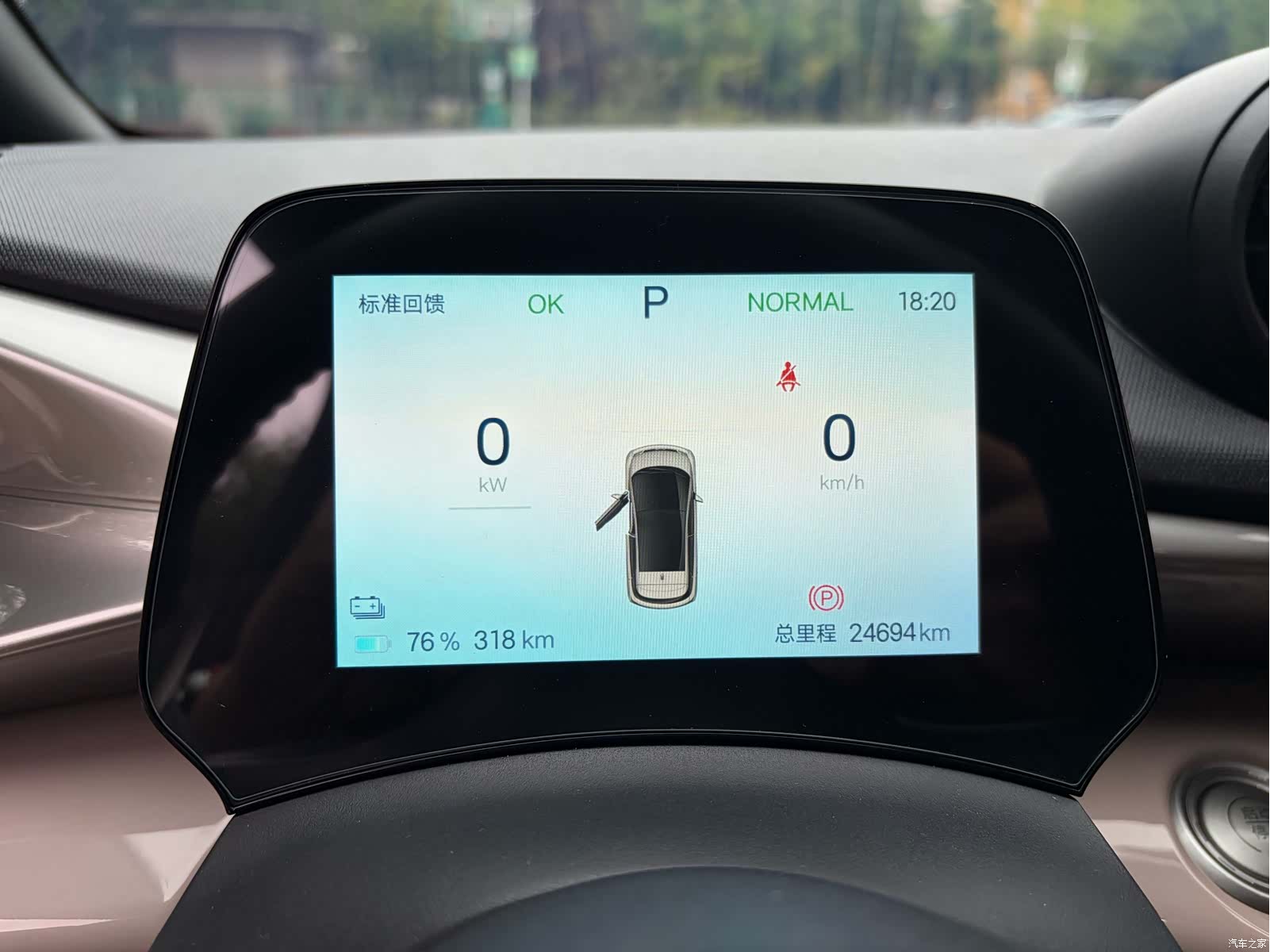 BYD Dolphin, 2024 все фото