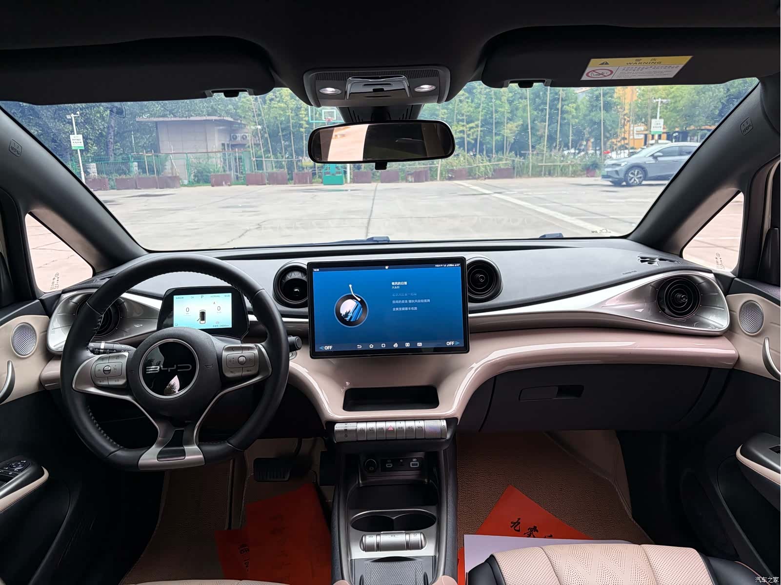 BYD Dolphin, 2024 6
