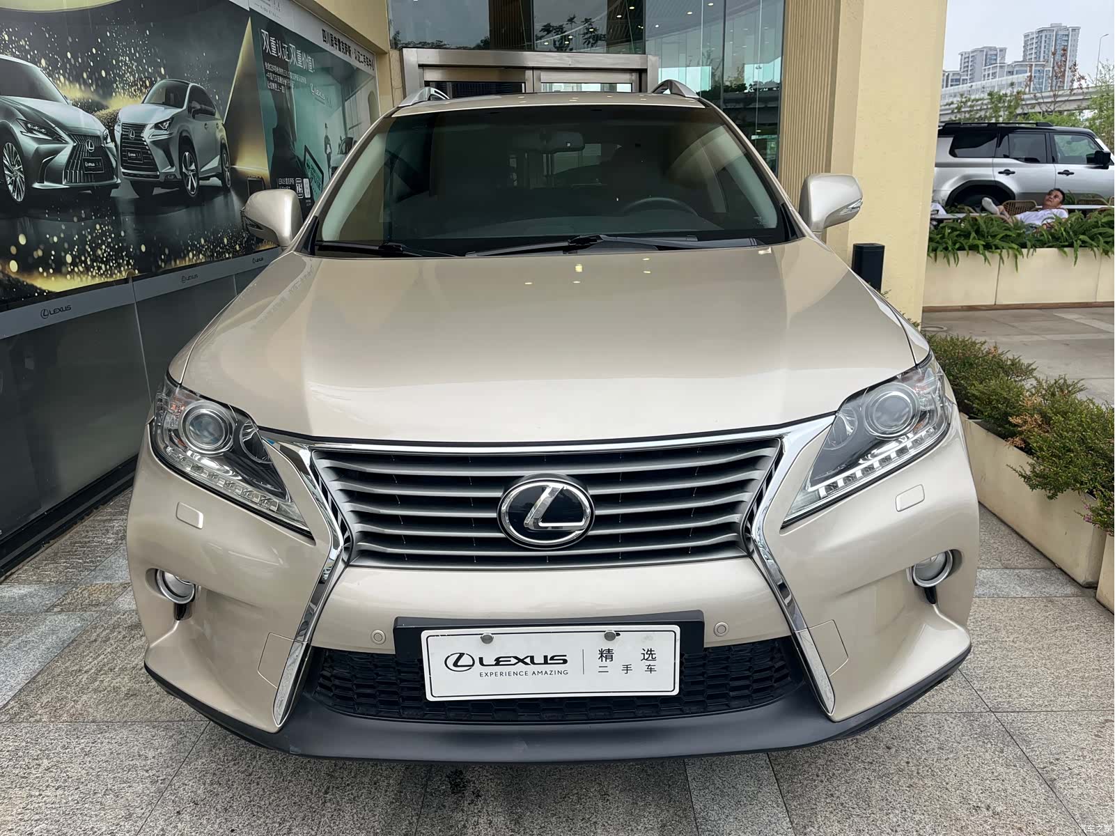 Lexus RX, 2013 2