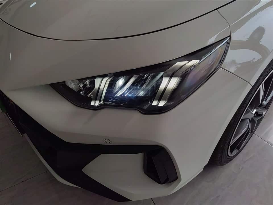 Trumpchi Shadow Leopard