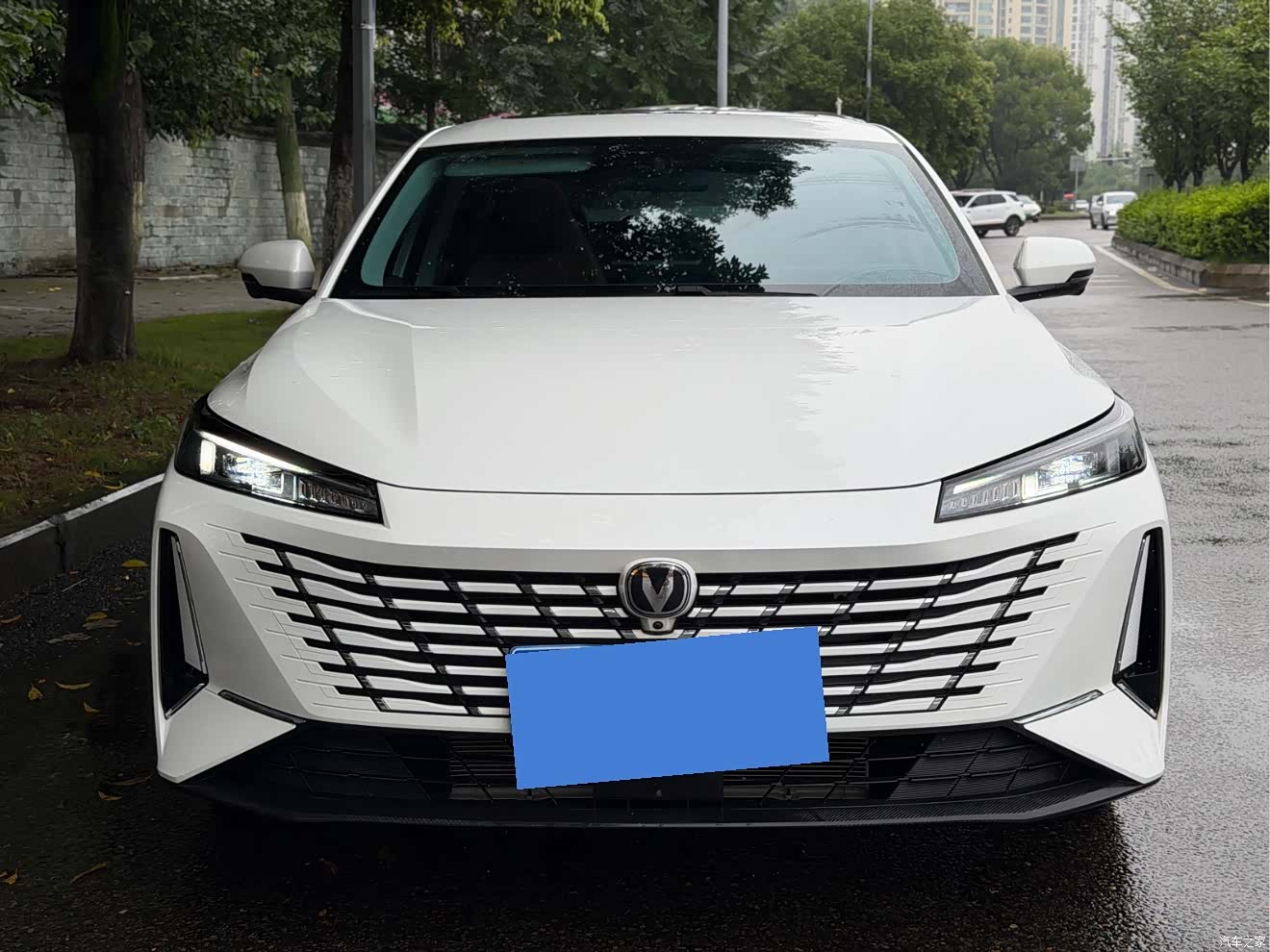 Changan Eado, 2024 все фото