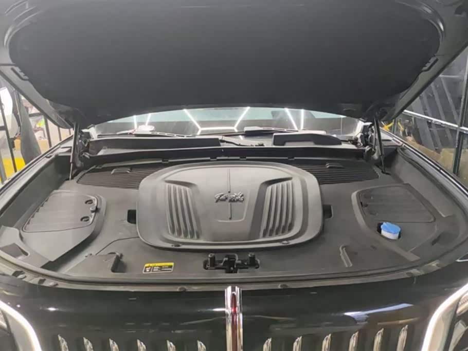 Hongqi E-HS9