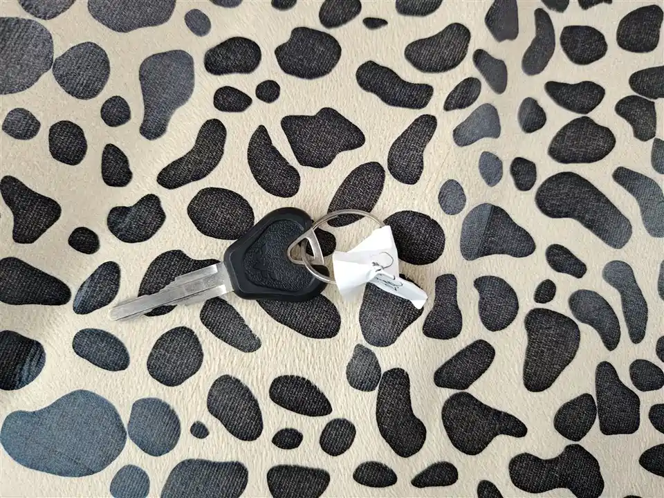 Wuling Light of Wuling