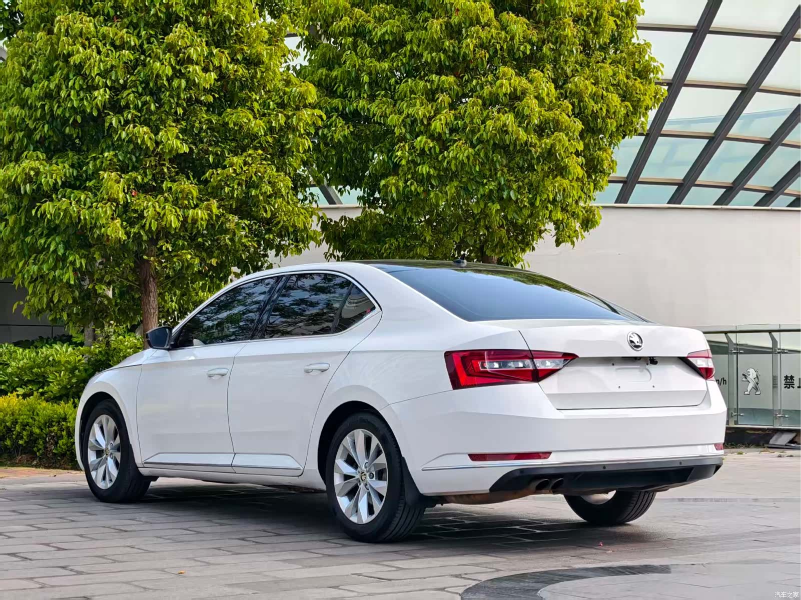 Skoda Superb, 2019 все фото