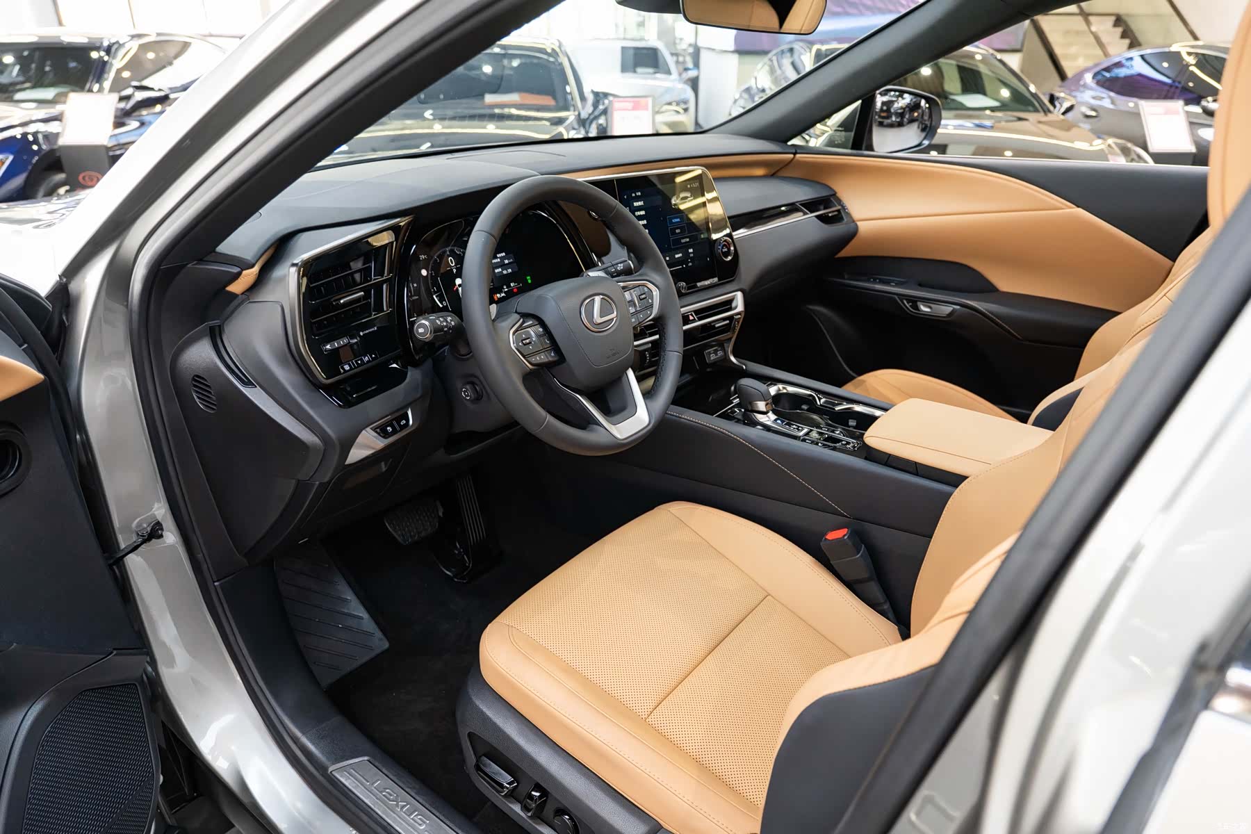 Lexus RX, 2025 9