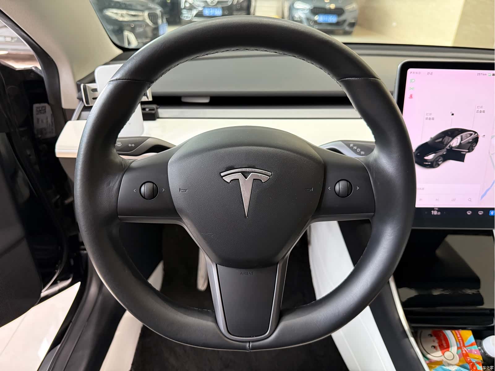 Tesla Model 3, 2019 11
