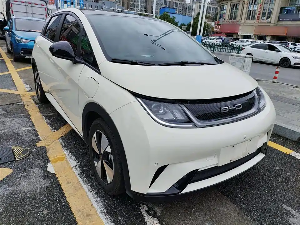 BYD dolphin
