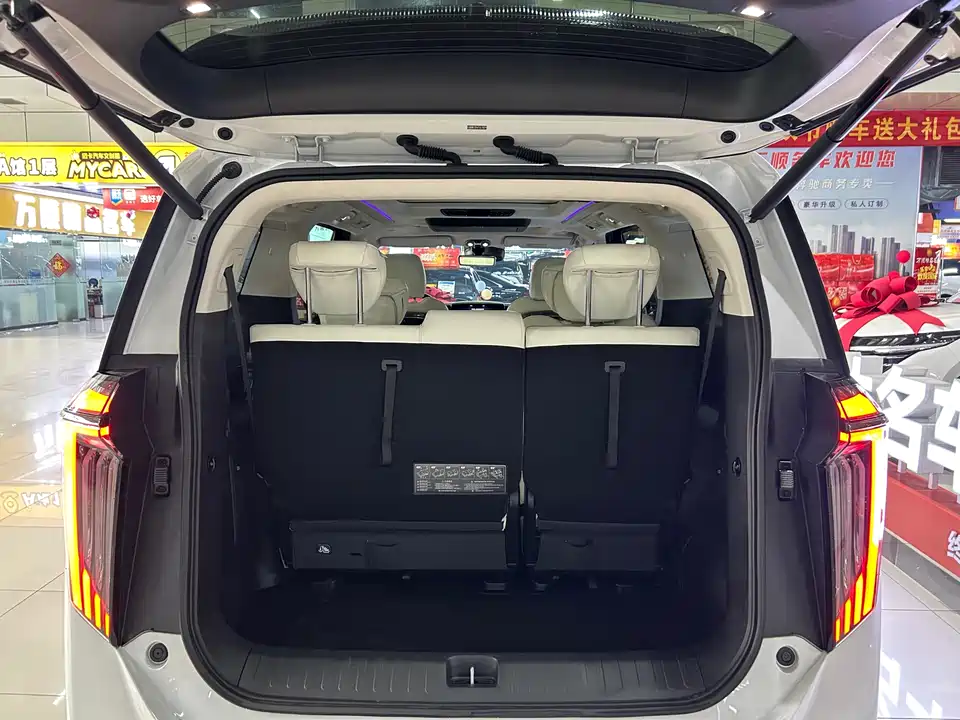 Trumpchi Trumpchi E9