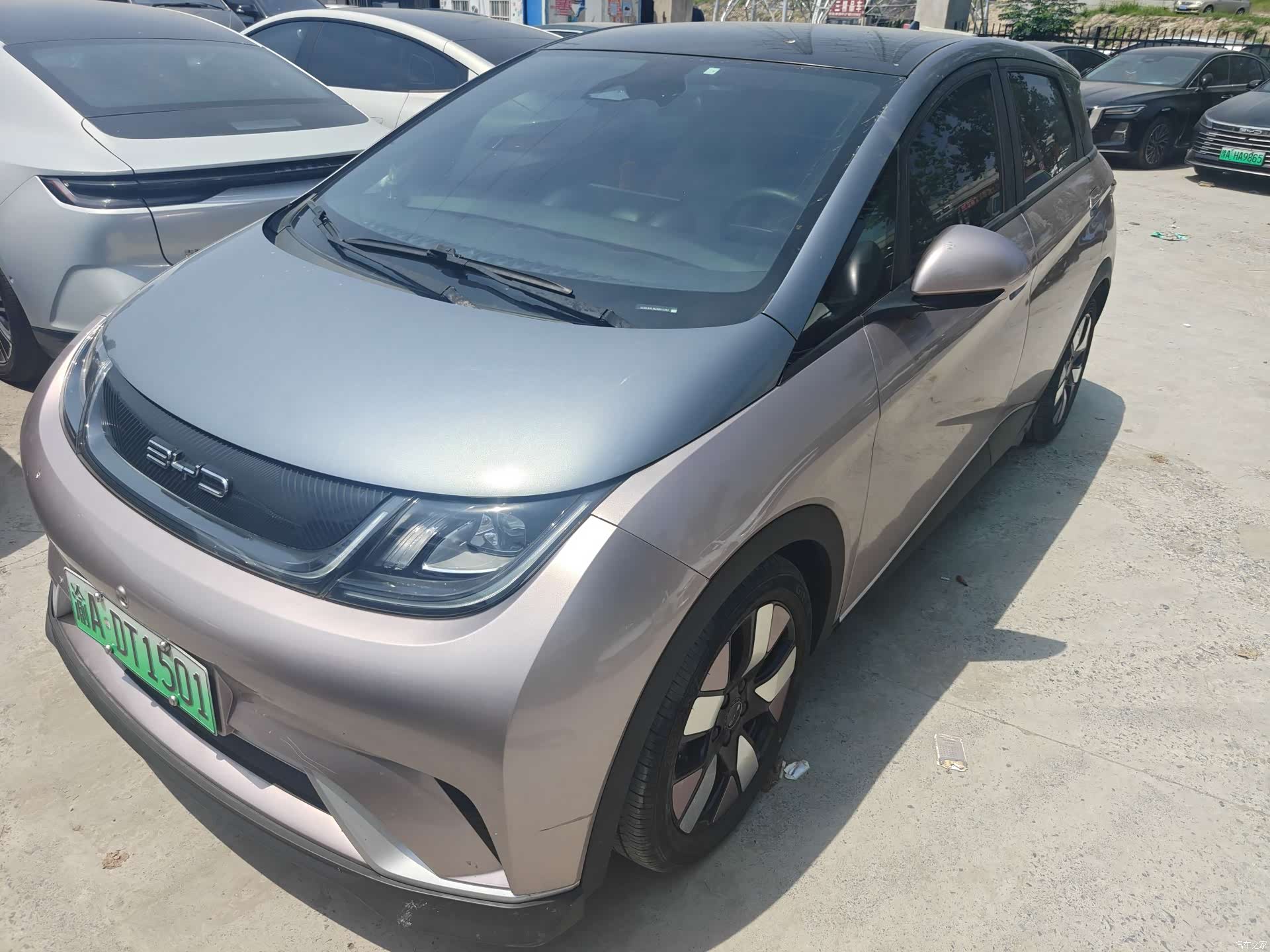 BYD Dolphin, 2022 1