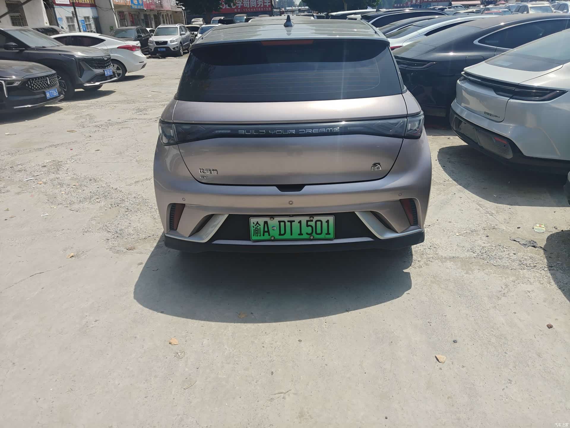 BYD Dolphin, 2022 все фото