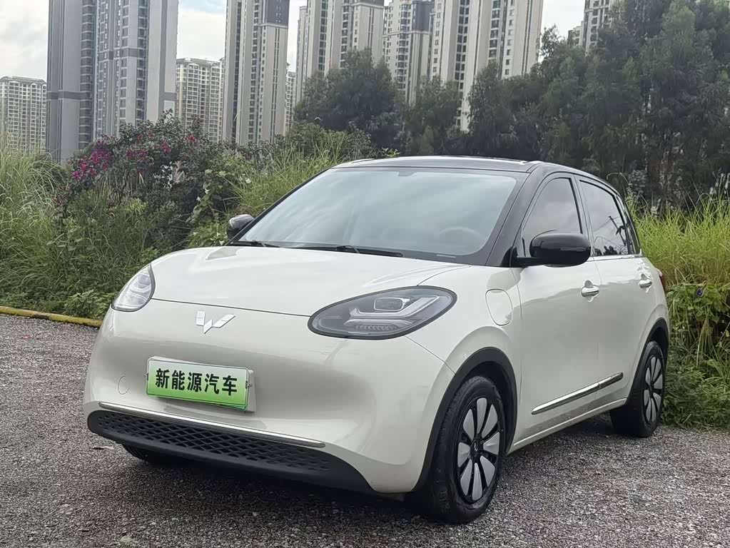 Wuling Binguo