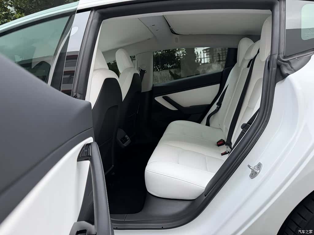 Tesla Model 3, 2020 11