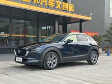 ���Դ�CX-30 2020�� 2.0L �Զ�������