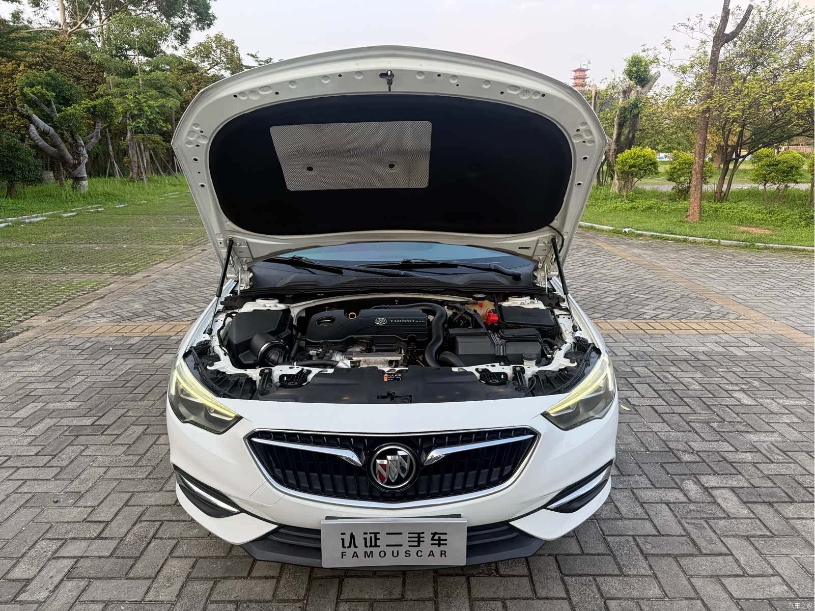 Buick Regal, 2019 15