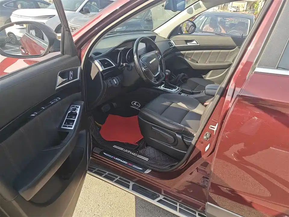 Leopaard Cheetah CS10