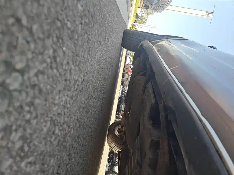 Leopaard Cheetah CS10