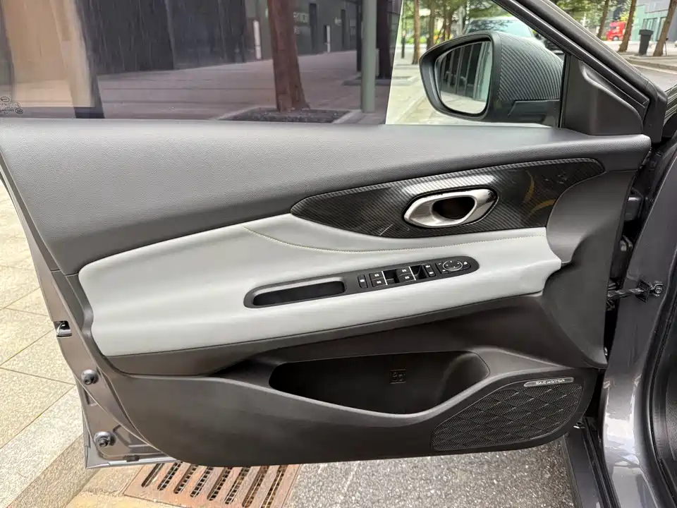 Trumpchi Shadow Leopard