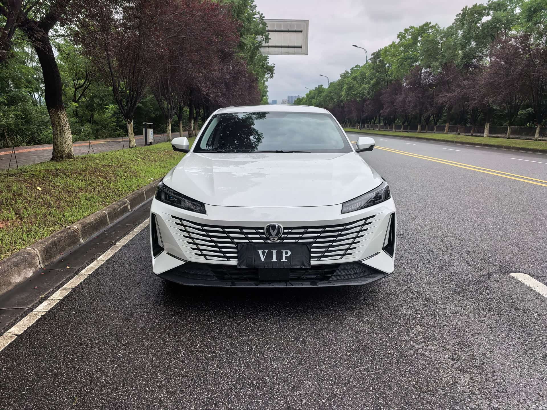 Changan Eado, 2024 2