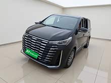 ��ͨG10 2025�� MAX 2.0T �Զ��콢�� ���� 7��