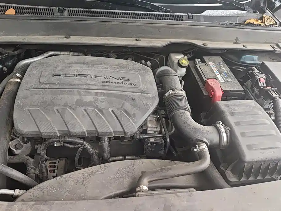 Forthing Popular T5 EVO