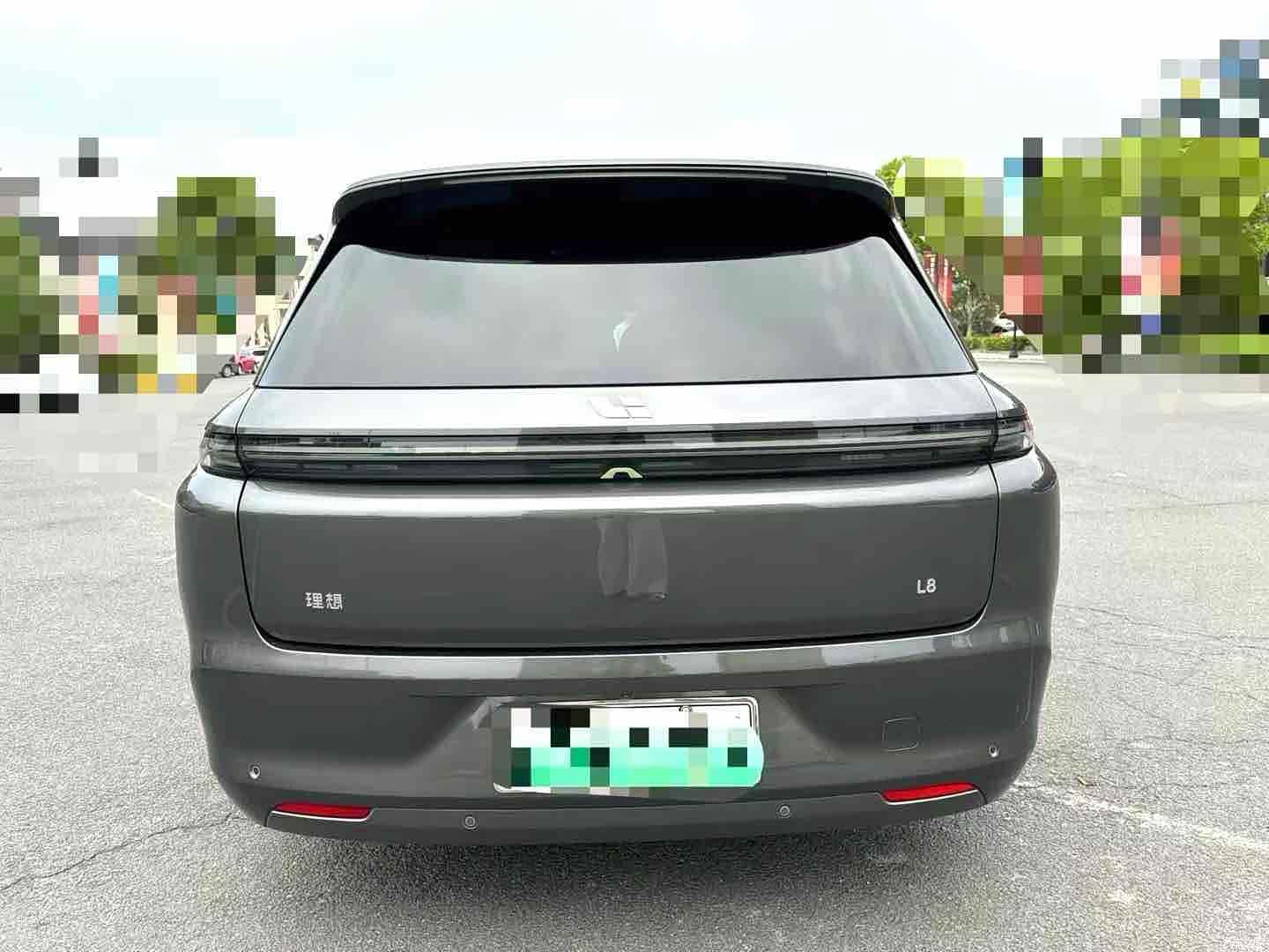 Li Auto L8, 2023 9